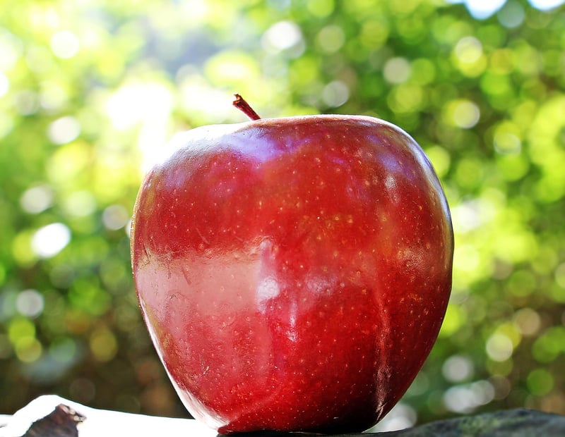 Educational Resources